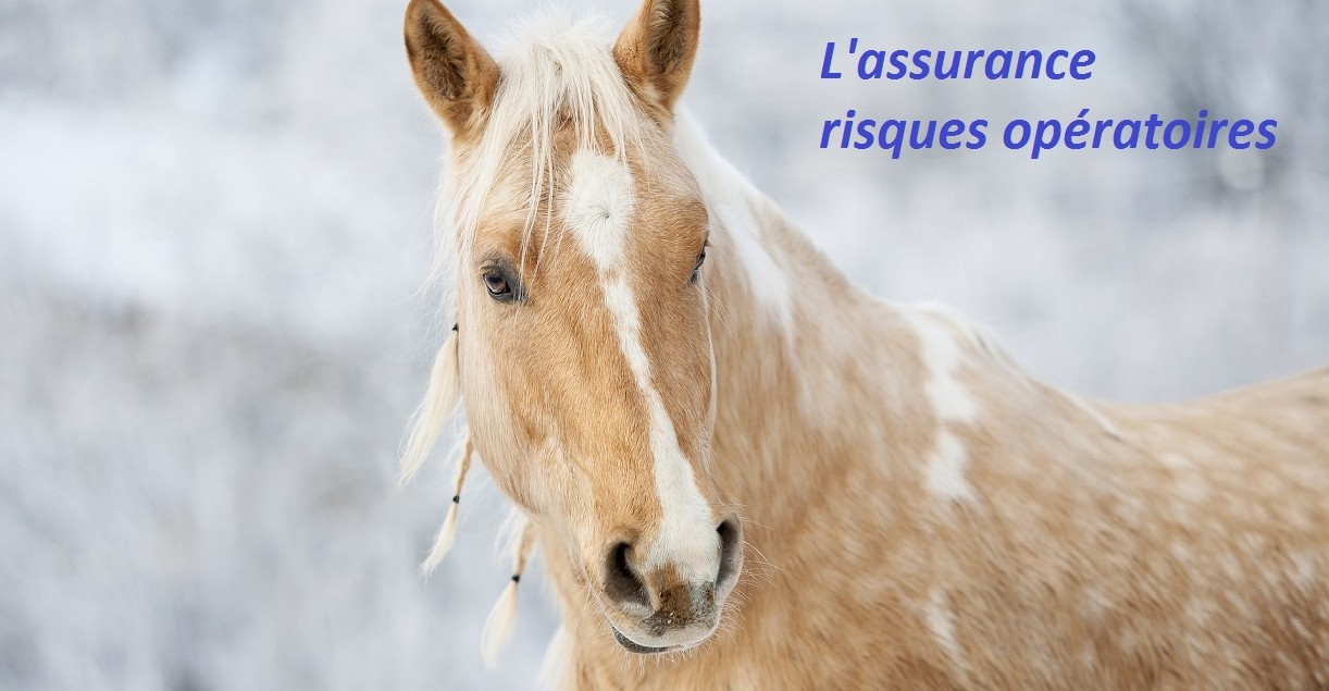 L'assurance castration