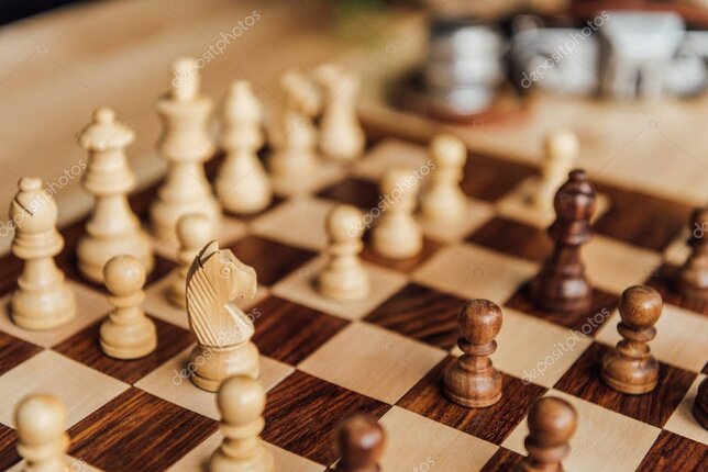 Conseils d’assurance pour chevaux de compétition