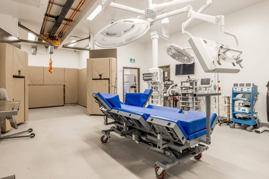 Garantie frais vétérinaires pour chevaux