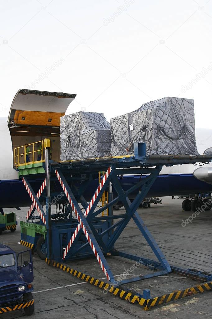 Cas de transport international de chevaux