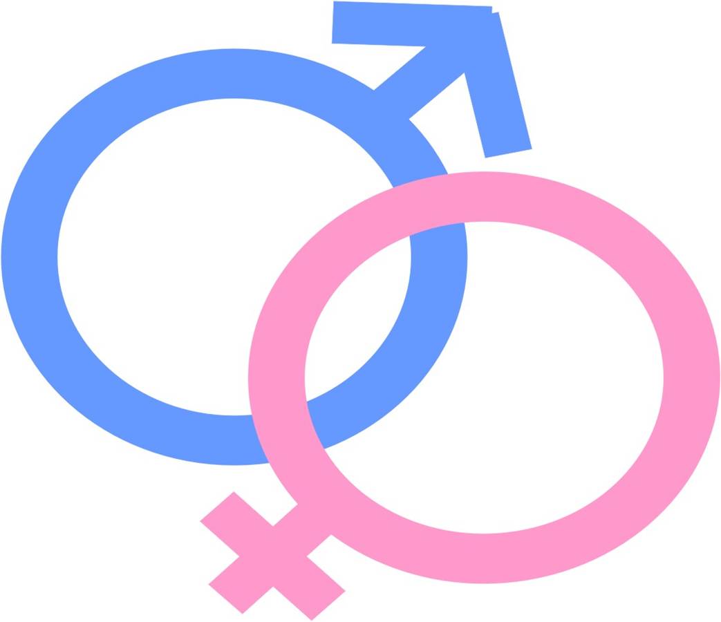 Garantie mortalité et vol pour cheval